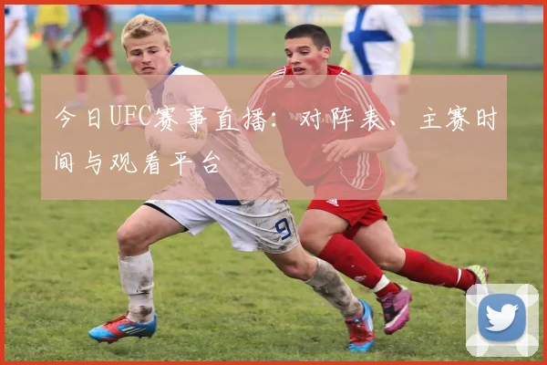 今日UFC赛事直播：对阵表、主赛时间与观看平台