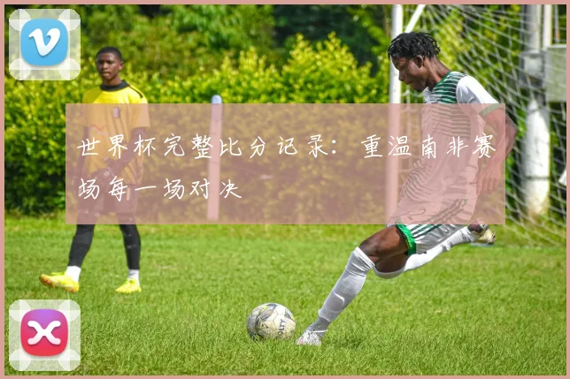 世界杯完整比分记录：重温南非赛场每一场对决