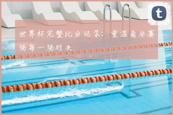 世界杯完整比分记录：重温南非赛场每一场对决