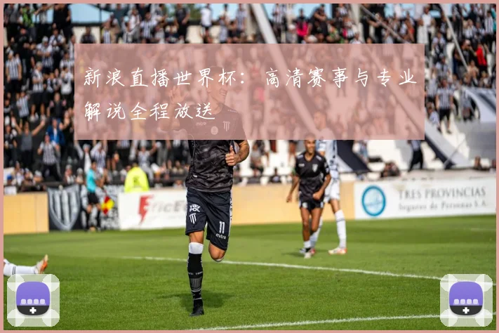新浪直播世界杯：高清赛事与专业解说全程放送