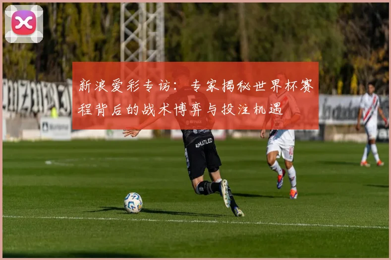 新浪爱彩专访：专家揭秘世界杯赛程背后的战术博弈与投注机遇
