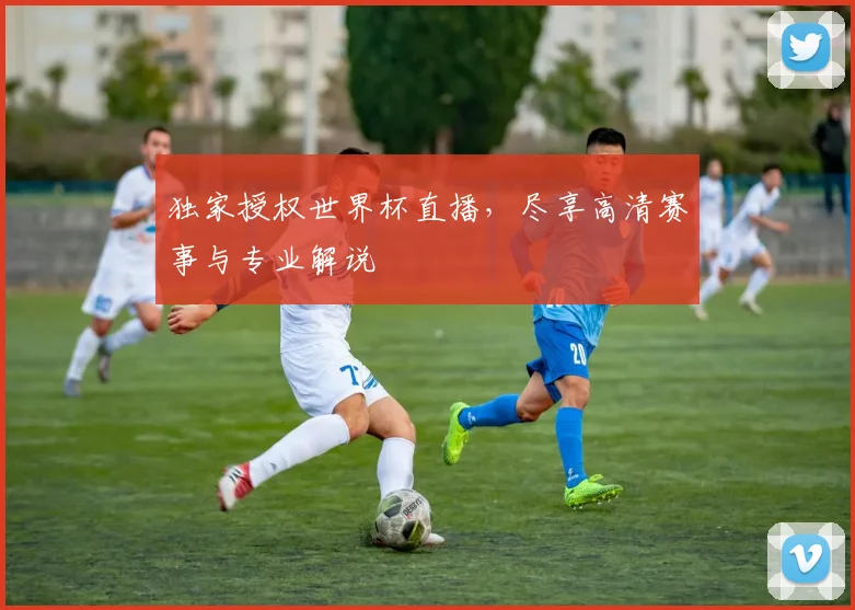 独家授权世界杯直播，尽享高清赛事与专业解说