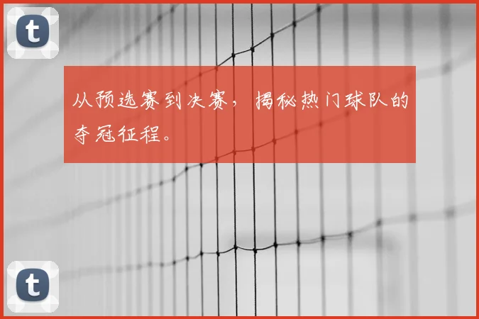 从预选赛到决赛，揭秘热门球队的夺冠征程。