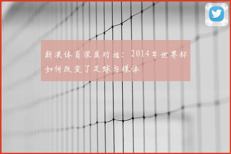 新浪体育深度对话：2014年世界杯如何改变了足球与媒体