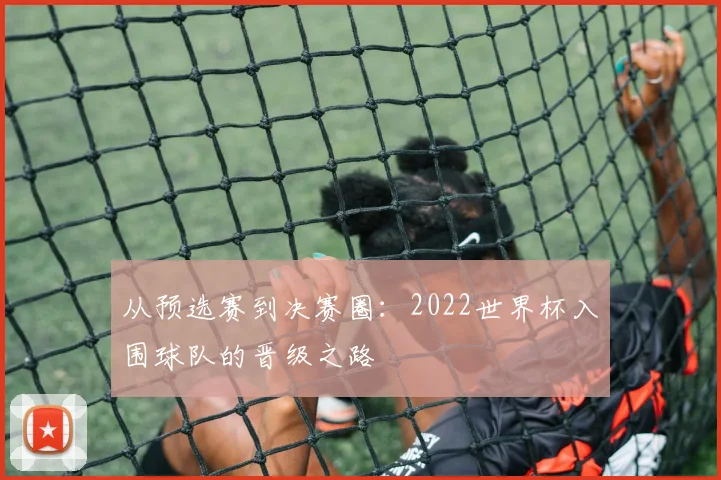 从预选赛到决赛圈：2022世界杯入围球队的晋级之路