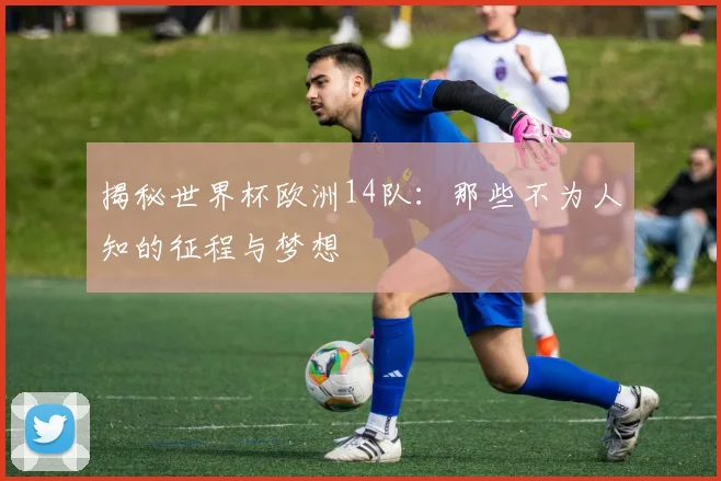 揭秘世界杯欧洲14队：那些不为人知的征程与梦想