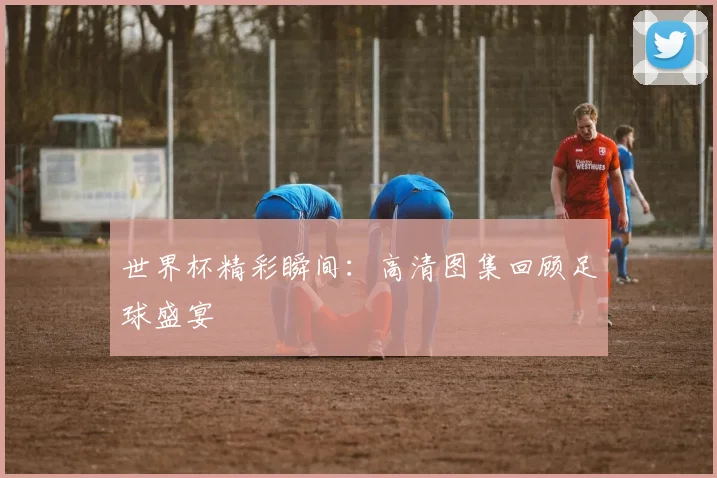 世界杯精彩瞬间：高清图集回顾足球盛宴